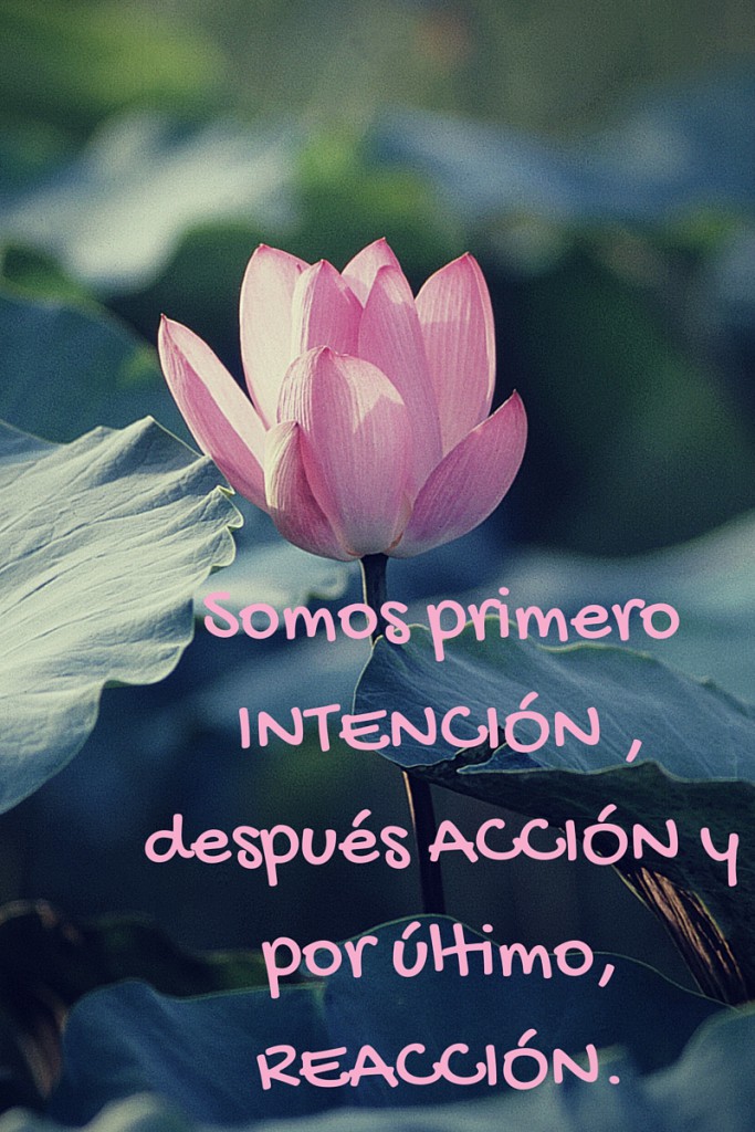 Intencion-accion-reacción