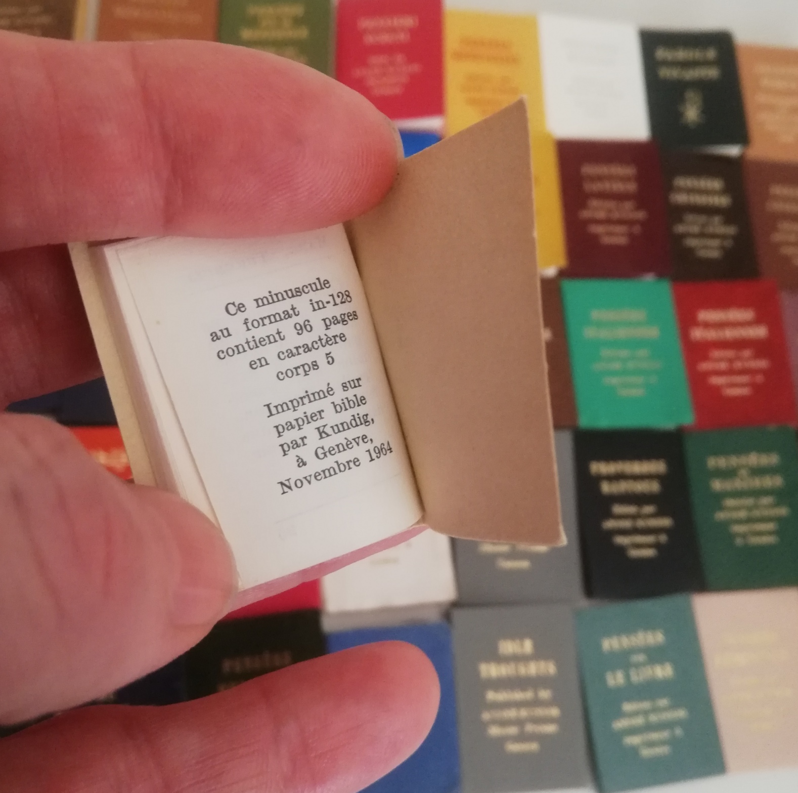 El inmenso encanto de lo pequeño. Libros en miniatura: 2.000 años de  ediciones minúsculas - SEDIC - Blog