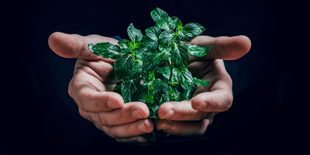 Café sostenible para todos: El activismo en tiempos de emergencia climática