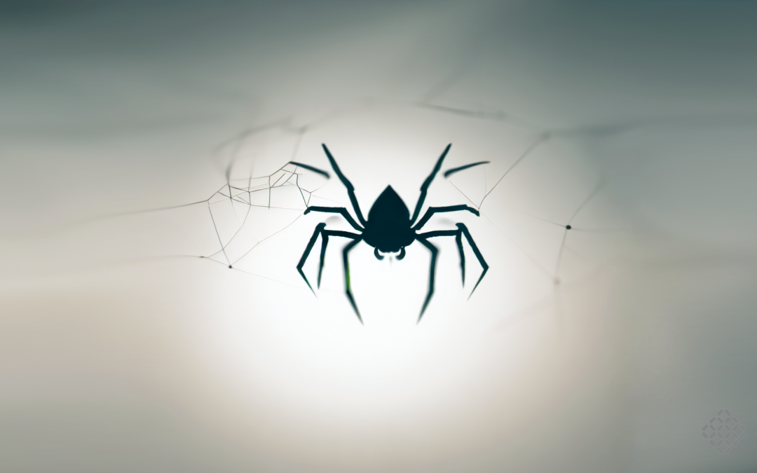 La extracción de datos en la Web como nuevo servicio de las bibliotecas académicas