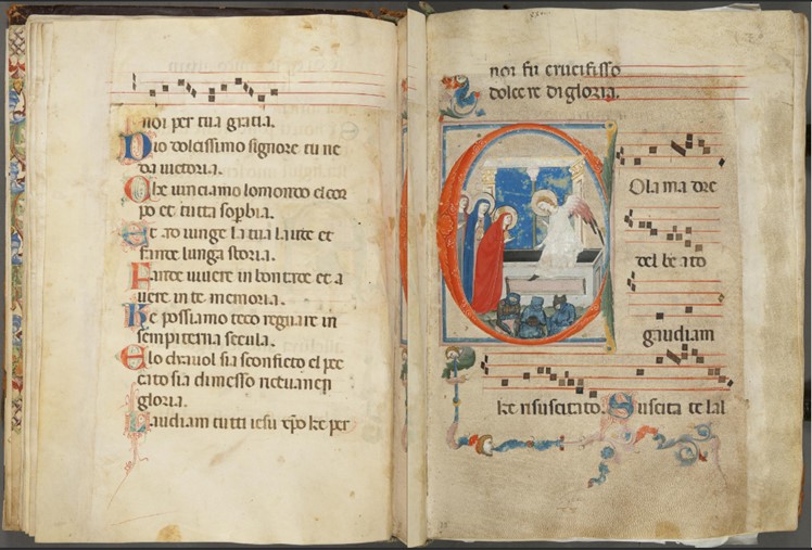 Los manuscritos iluminados